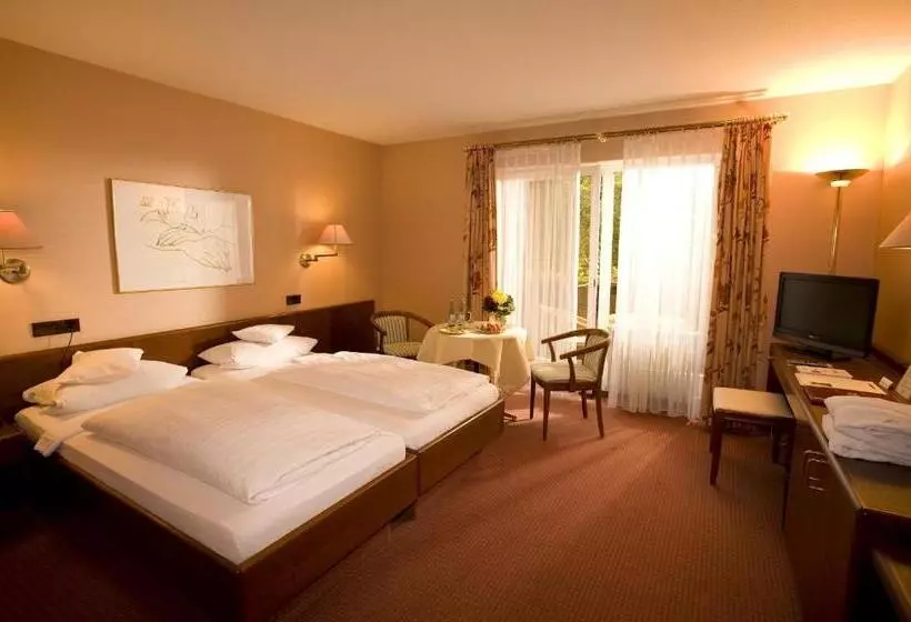 בית מלון כפרי Am Park