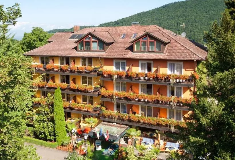 בית מלון כפרי Am Park