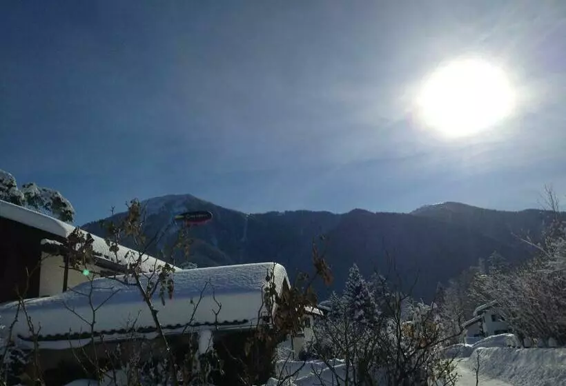 Aamiaismajoitus (B&B) Bartl Pension