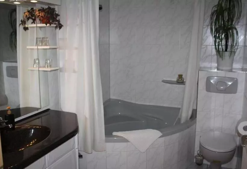 تختخواب و صبحانه Wellness Hotel Pension & Gaststätte Riedel