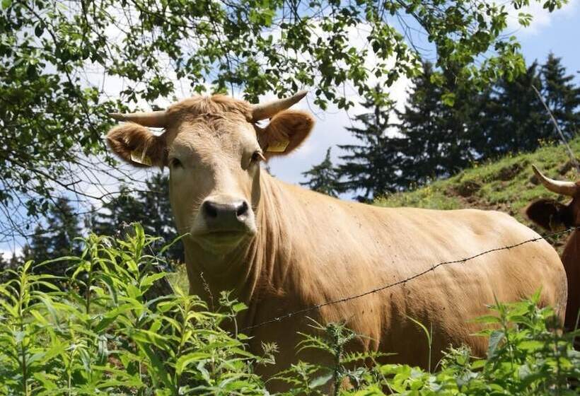 호텔 Bed And Breakfast Am Knittenberg