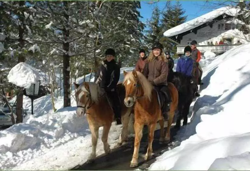 Отель Garni Haus Alpine Chiemgau Karte Inkl