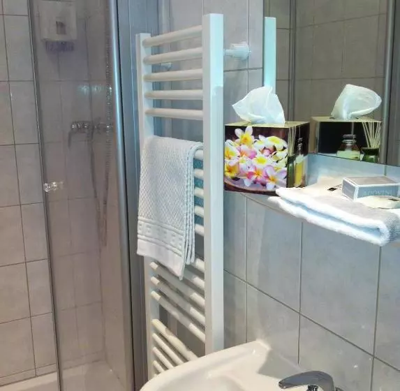 هتل Der Schützenhof