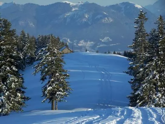 Hotelli Haus Sedlmayr