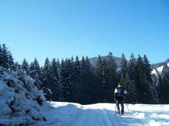 Hotelli Haus Sedlmayr