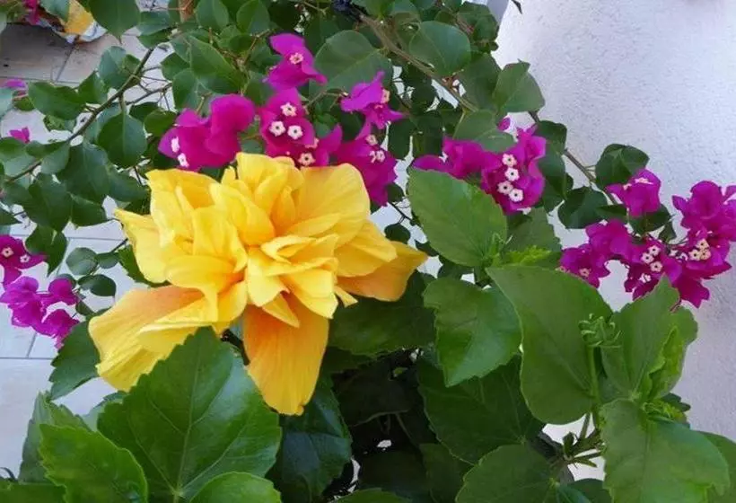 Отель Römerhof