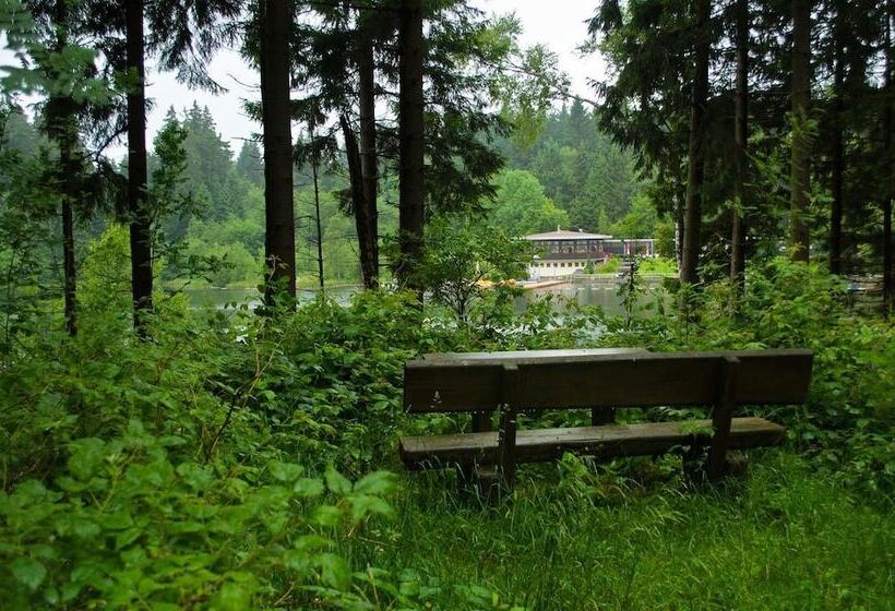 בית מלון כפרי Waldrausch