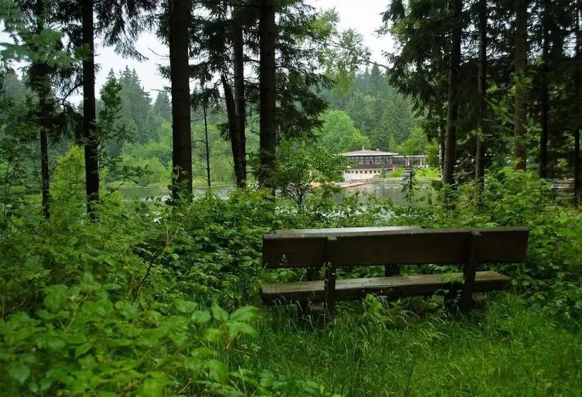 Отель Waldrausch