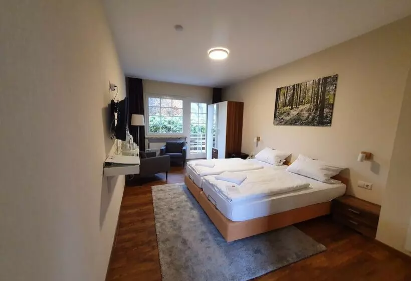 Отель Waldrausch