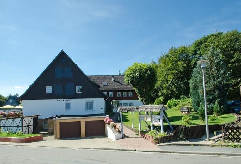בית מלון כפרי Waldrausch
