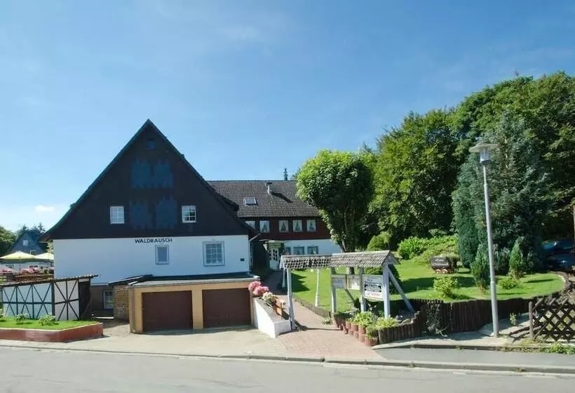 Отель Waldrausch