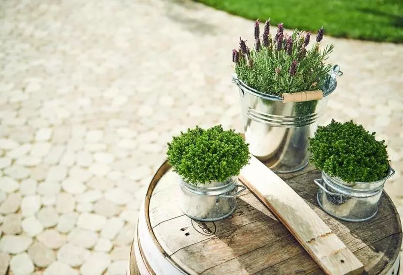 Alte Linde Landhotel & Restaurant