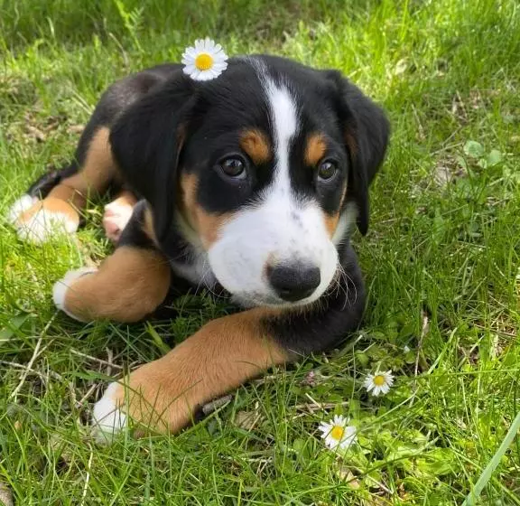 ペンション Gästehaus An Der Sempt   Wohlfühlen Auf Dem Lande