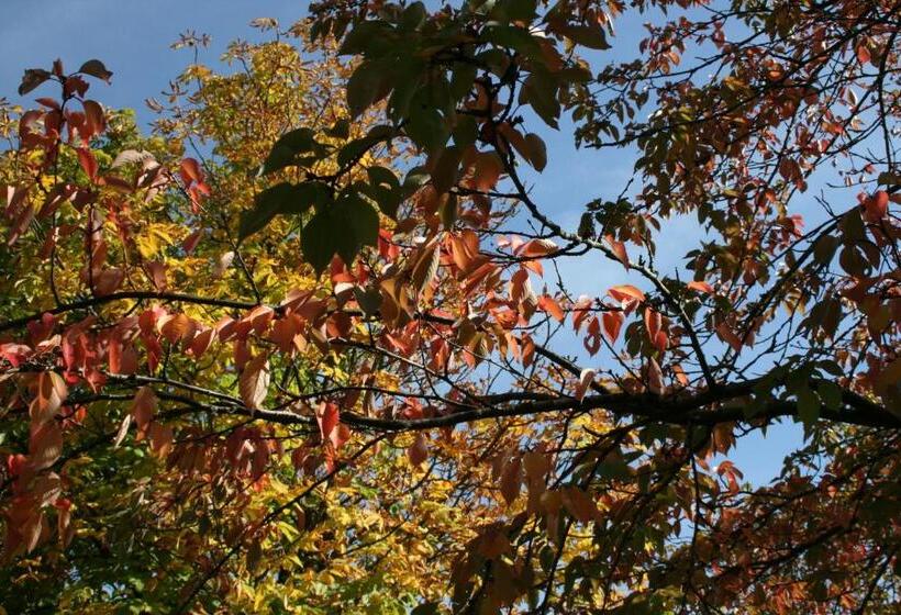 Seniorenresidenz Parkwohnstift Bad Kissingen