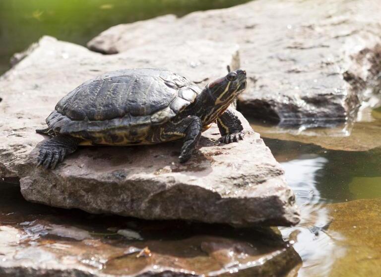 Seniorenresidenz Parkwohnstift Bad Kissingen