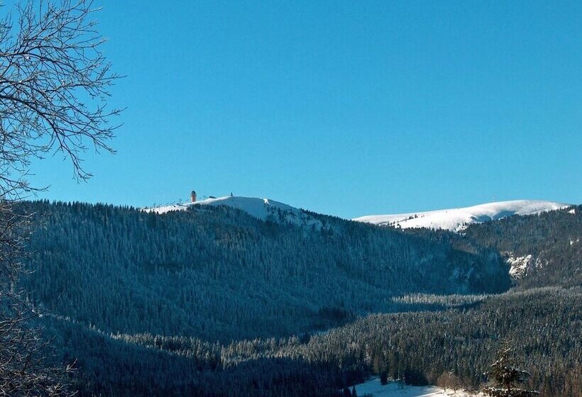 Zur Traube Schwarzwaldhotel & Restaurant Am Titisee