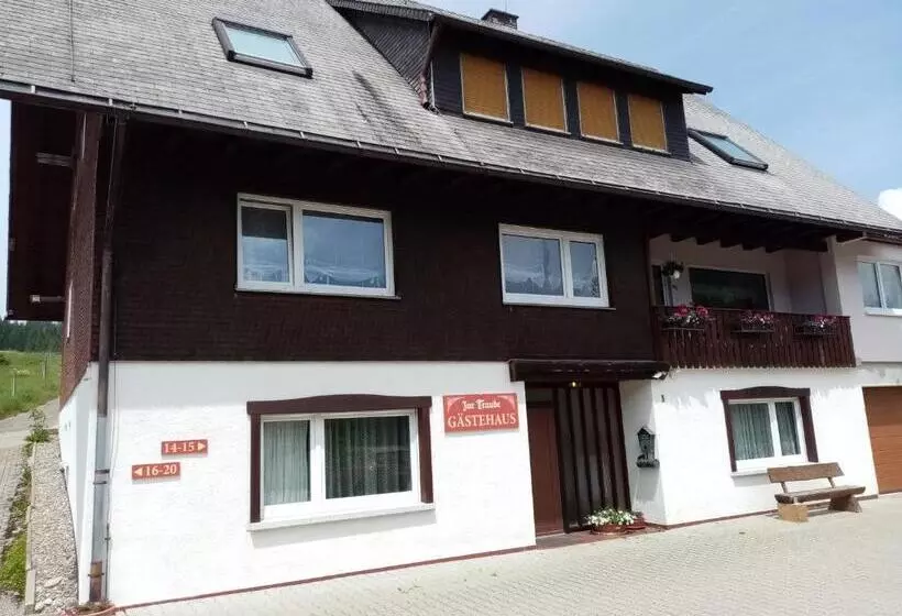 Zur Traube Schwarzwaldhotel & Restaurant Am Titisee