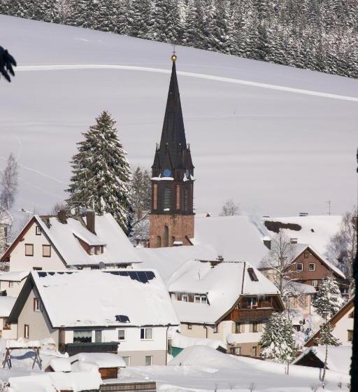 Zur Traube Schwarzwaldhotel & Restaurant Am Titisee