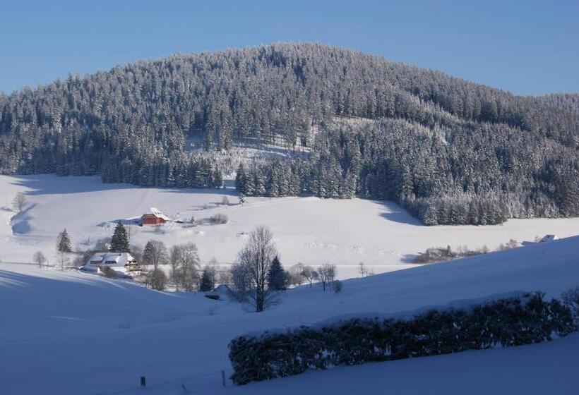 Zur Traube Schwarzwaldhotel & Restaurant Am Titisee