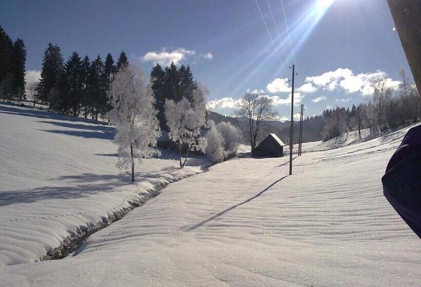 Zur Traube Schwarzwaldhotel & Restaurant Am Titisee