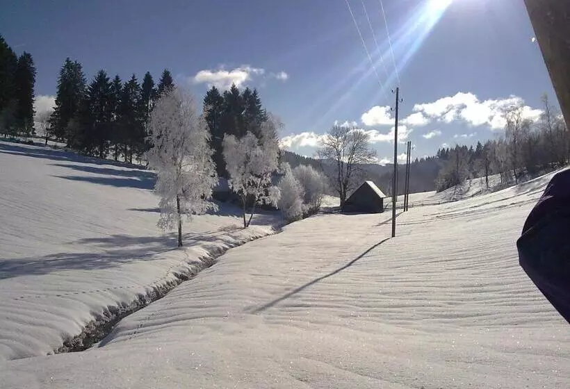 Zur Traube Schwarzwaldhotel & Restaurant Am Titisee