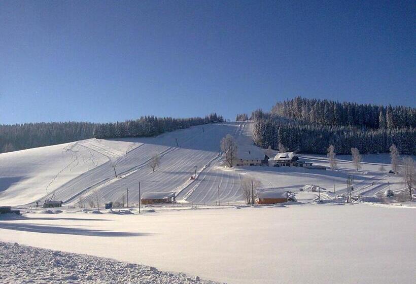 Zur Traube Schwarzwaldhotel & Restaurant Am Titisee