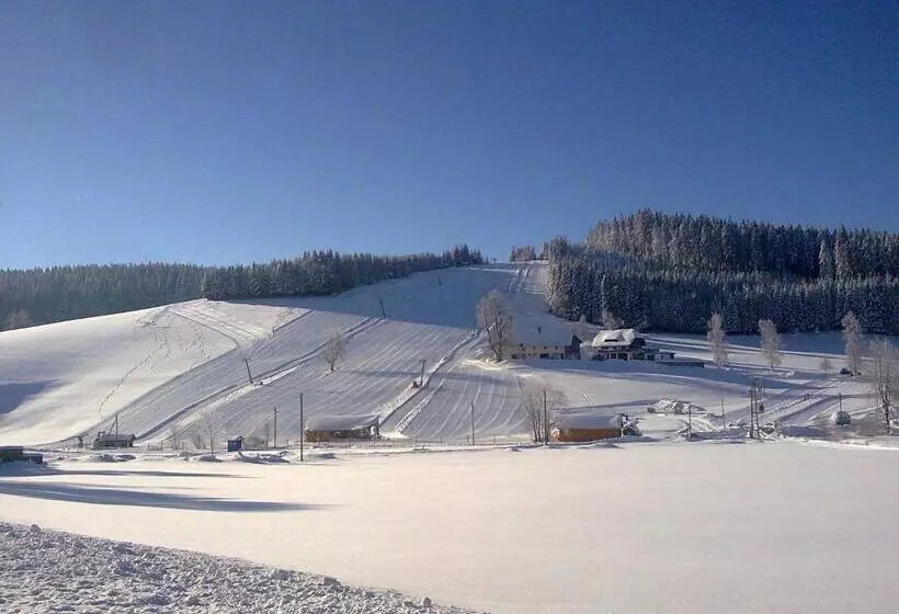 Zur Traube Schwarzwaldhotel & Restaurant Am Titisee