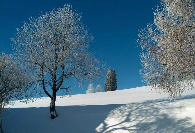 Zur Traube Schwarzwaldhotel & Restaurant Am Titisee