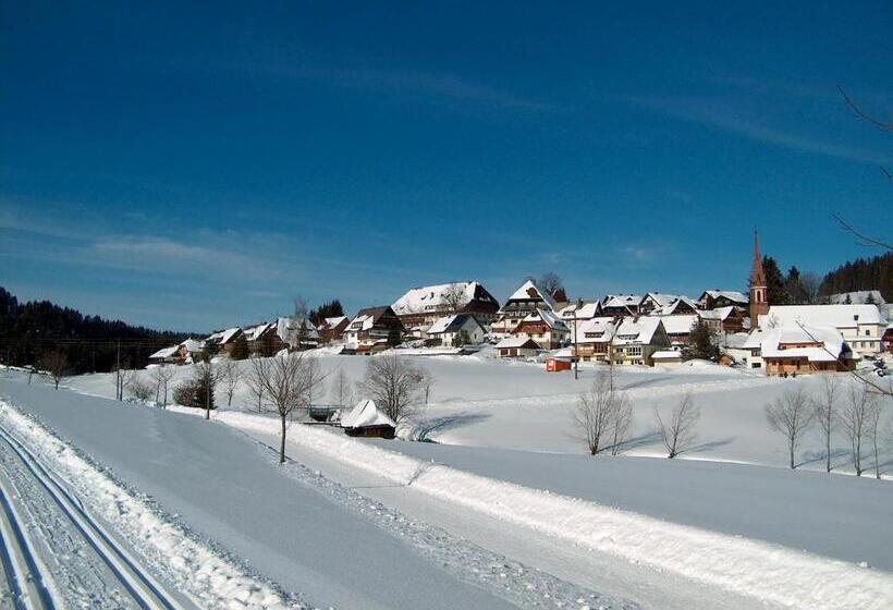 Zur Traube Schwarzwaldhotel & Restaurant Am Titisee