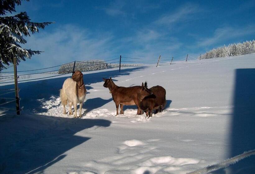 Zur Traube Schwarzwaldhotel & Restaurant Am Titisee