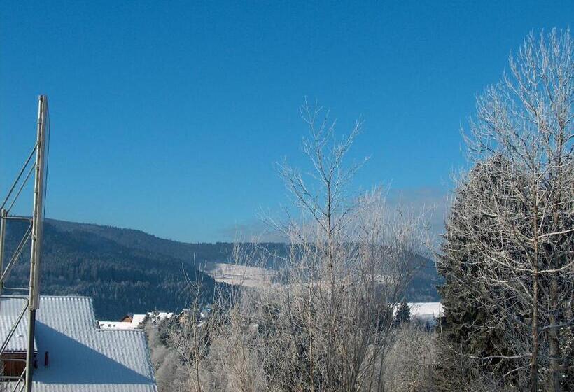 Zur Traube Schwarzwaldhotel & Restaurant Am Titisee