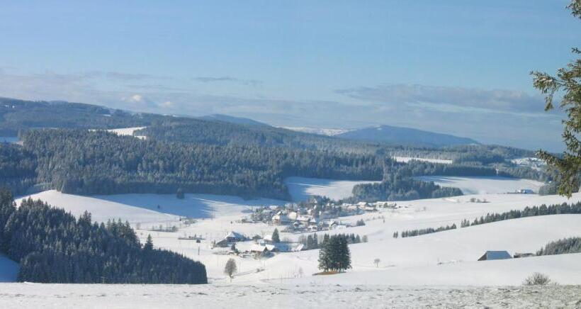 Zur Traube Schwarzwaldhotel & Restaurant Am Titisee