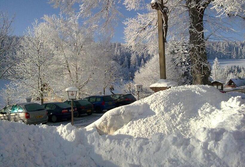 Zur Traube Schwarzwaldhotel & Restaurant Am Titisee