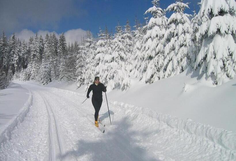 Zur Traube Schwarzwaldhotel & Restaurant Am Titisee