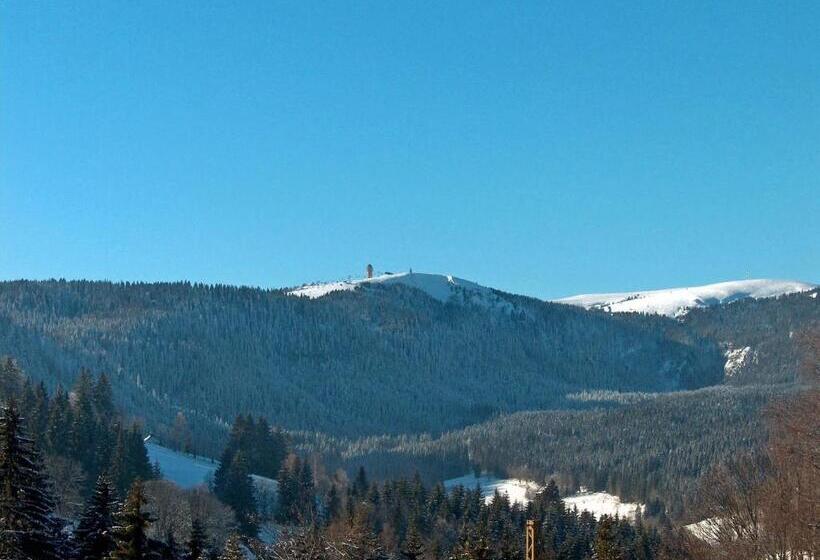 Zur Traube Schwarzwaldhotel & Restaurant Am Titisee