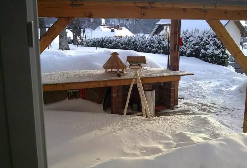 Zur Traube Schwarzwaldhotel & Restaurant Am Titisee