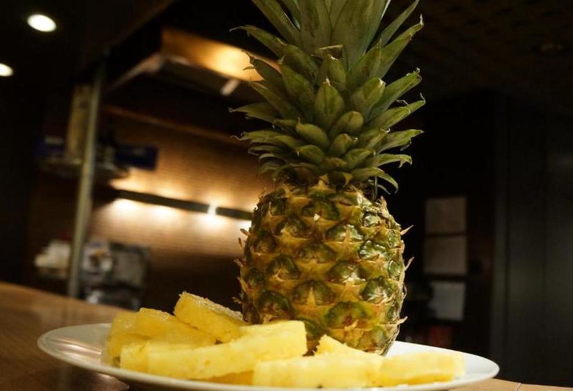 Отель Binnewies City