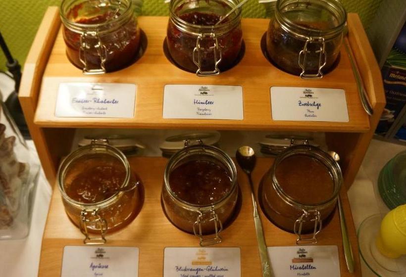 Отель Binnewies City