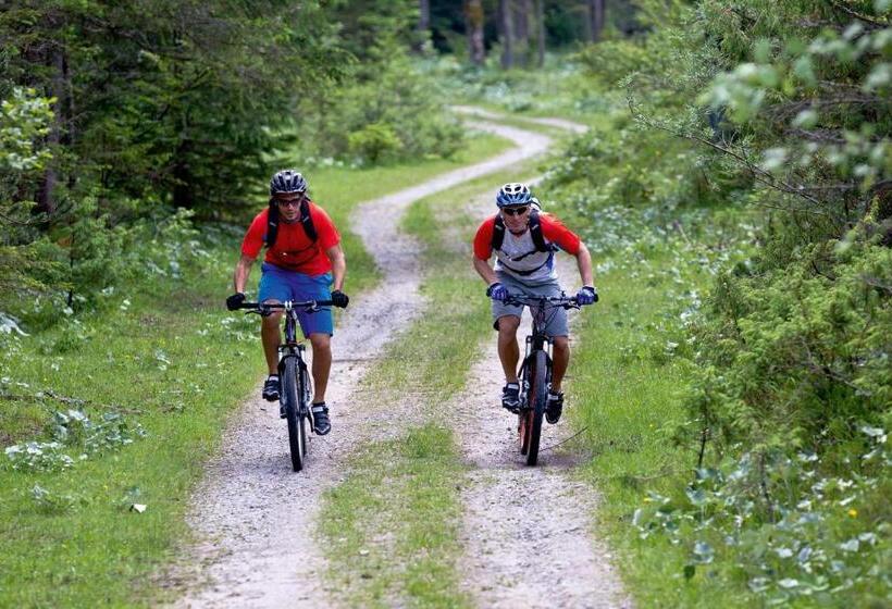 هتل & Ferienappartements Edelweiss