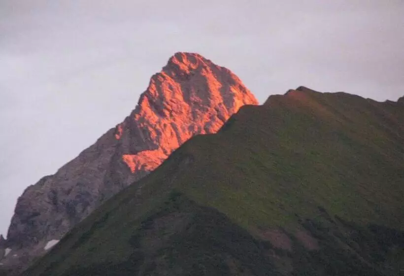 ホテル Ferienparadies Spielmannsau