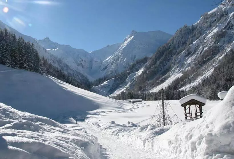 ホテル Ferienparadies Spielmannsau