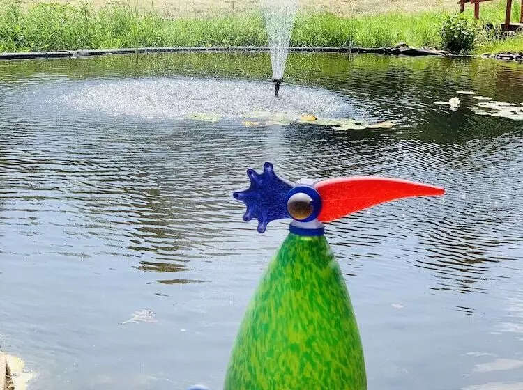 בית מלון כפרי Jagdschloß Walkenried