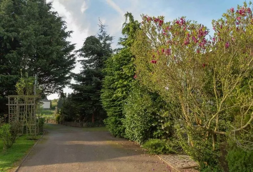 Отель Pension Zum Schwanenteich