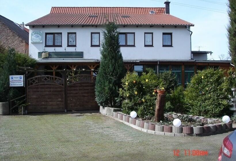 فندق Pension Zum Schwanenteich