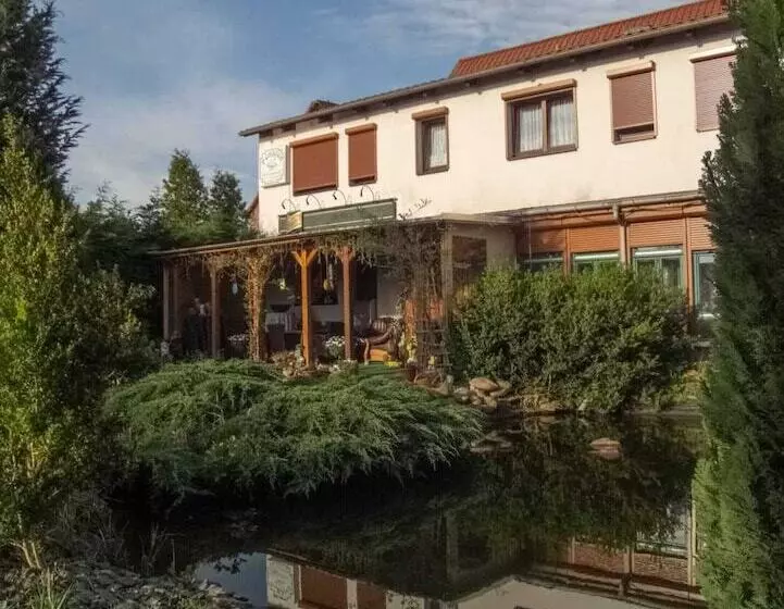 Отель Pension Zum Schwanenteich