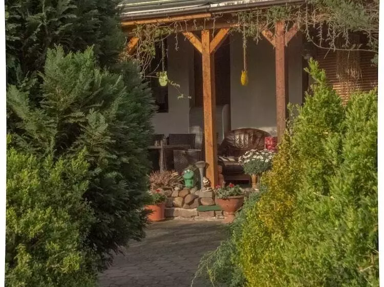 Отель Pension Zum Schwanenteich