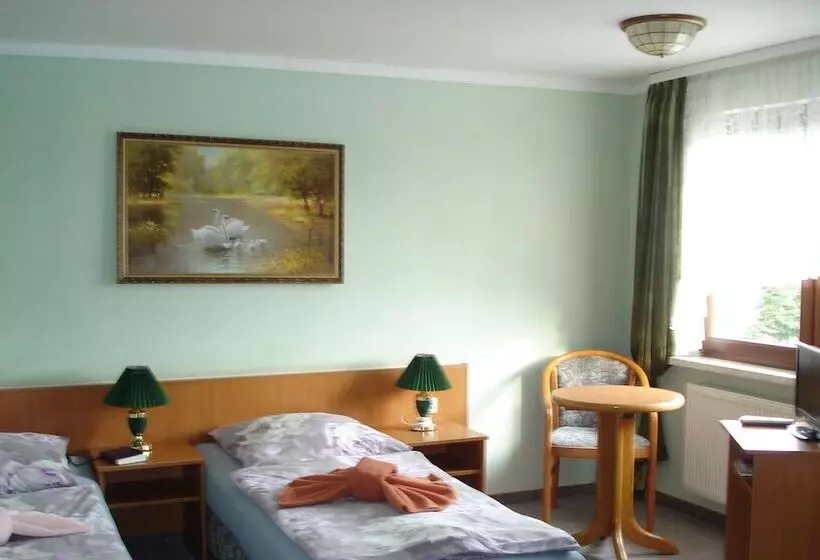 Отель Pension Zum Schwanenteich