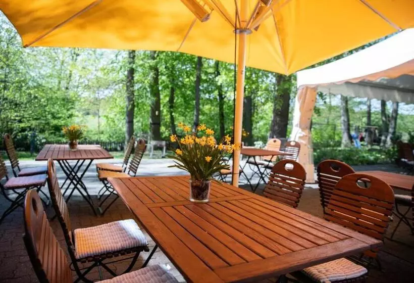 Отель Restaurant Große Teichsmühle