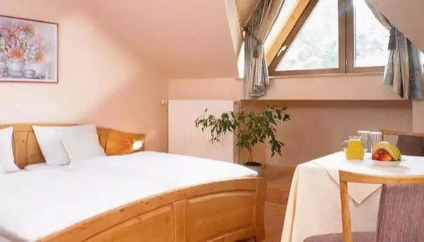 בית מלון כפרי Sauerlander Hof