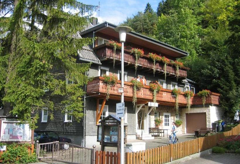 هتل Sauerlander Hof